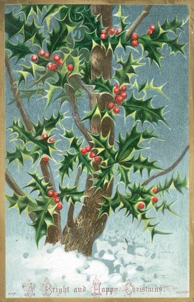 Houx, carte de Noël - English School