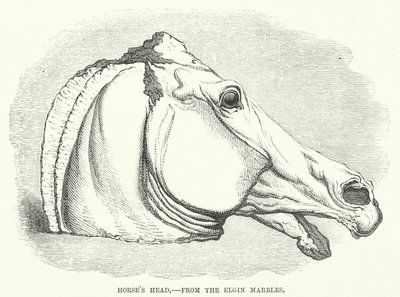 Tête de cheval, des marbres d