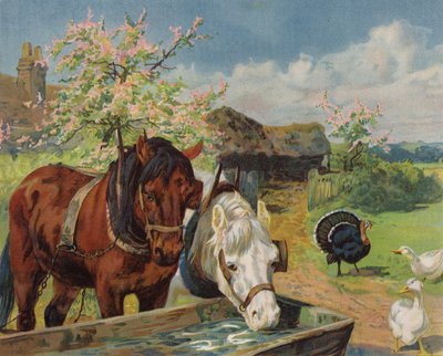 Chevaux buvant à un abreuvoir - English School
