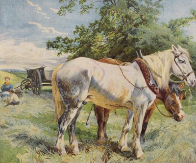 Chevaux prenant une pause de travail dans une ferme - English School