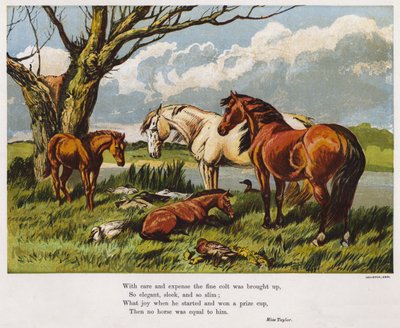 Chevaux avec un jeune poulain sur une rive - English School