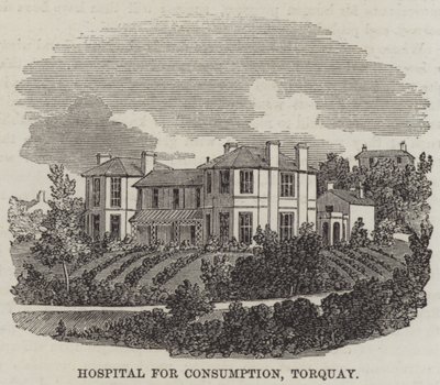 Hôpital pour la consommation, Torquay - English School