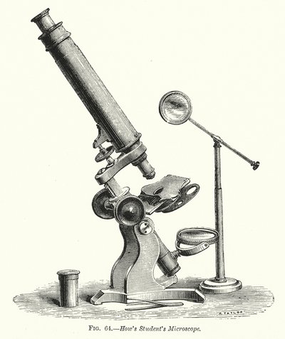 Microscope d