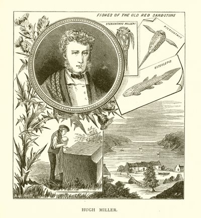 Hugh Miller - English School