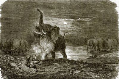 Chasseur et éléphant - English School