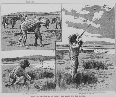Chasseur tirant sur des oiseaux sauvages en Écosse déguisé en âne (gravure) - English School