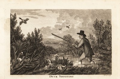 Chasseur avec des épagneuls d