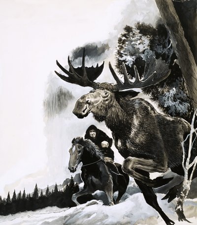 Chasse à l