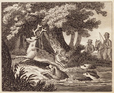 Chasse au cerf - English School