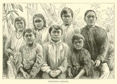 Indiens Hypurina - English School