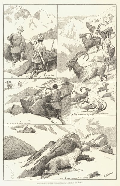 Chasse à l