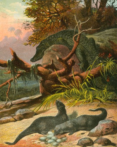 Ichneumon et crocodile - English School