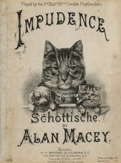 Impudence - English School