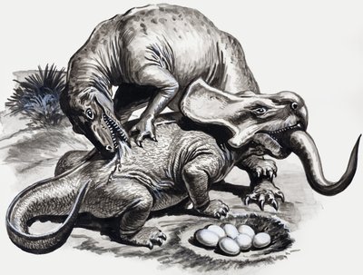 Au temps des dinosaures : Découverte dans le désert - English School
