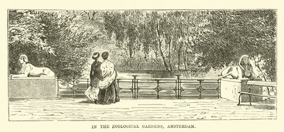 Dans les Jardins zoologiques, Amsterdam - English School