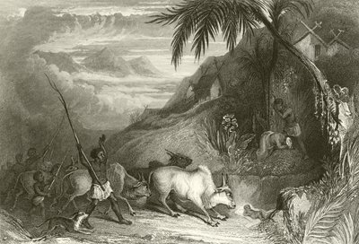 Infanticide à Madagascar - English School