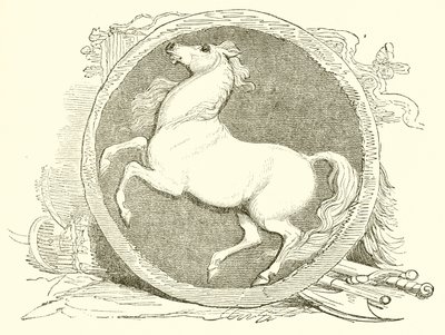 Invicta, l