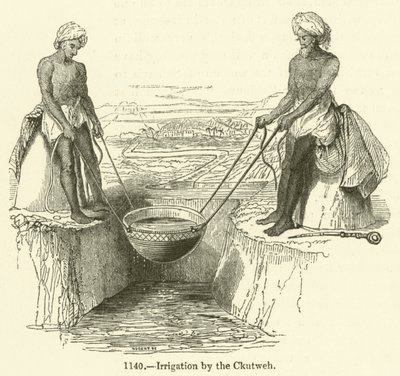 Irrigation par le Ckutweh - English School