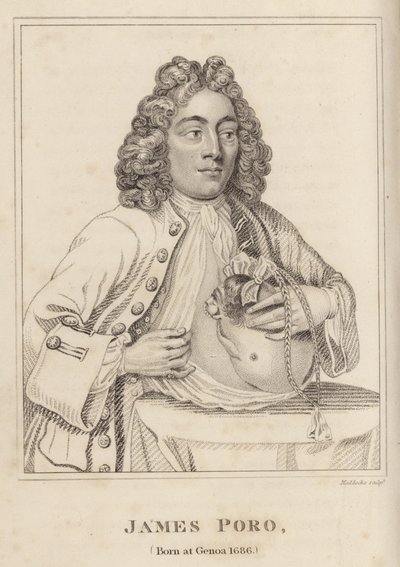 James Poro, Né à Gênes en 1686 - English School