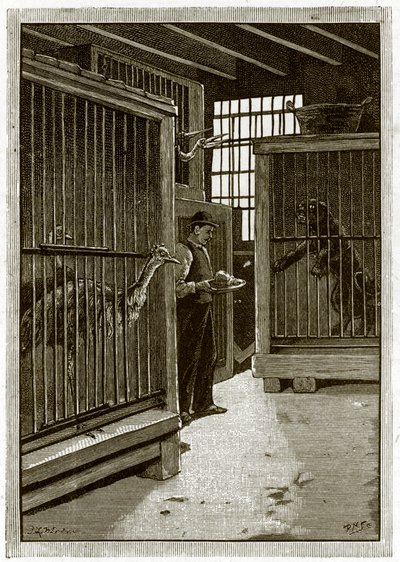 Jamrachs - déjeuner - English School