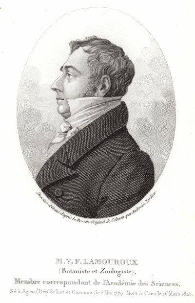 Jean Vincent Félix Lamouroux - English School