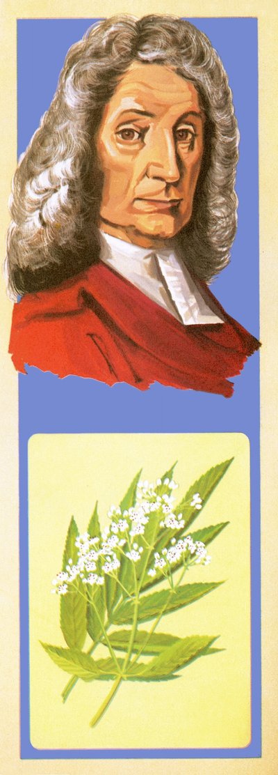 John Ray - English School