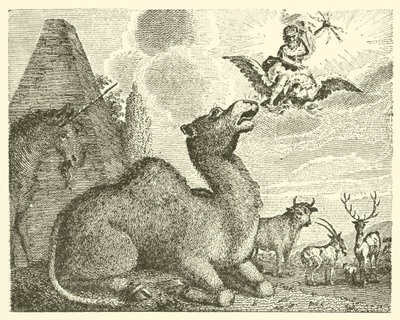 Jupiter et le chameau (gravure) - English School