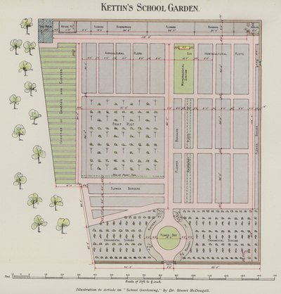 Le jardin scolaire de Kettin (lithographie en couleur) - English School