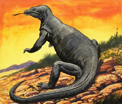 Dragon de Komodo - English School