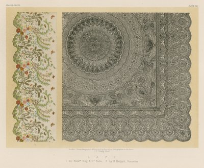 Dentelle - English School
