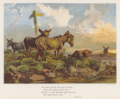 Paysage avec ânes et oiseaux - English School