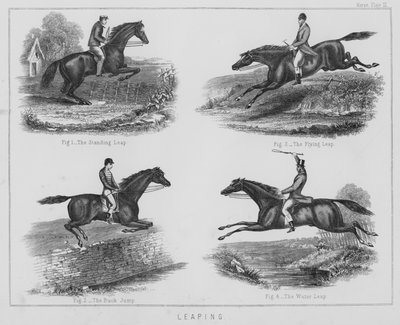 Saut (lithographie) - English School