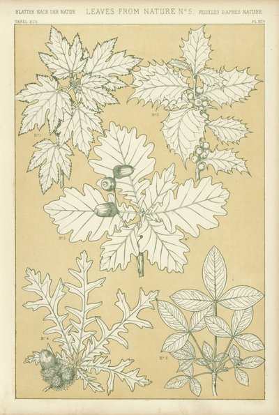 Feuilles de la nature - English School