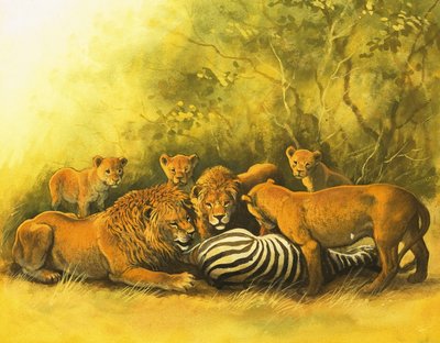 Lions se nourrissant d