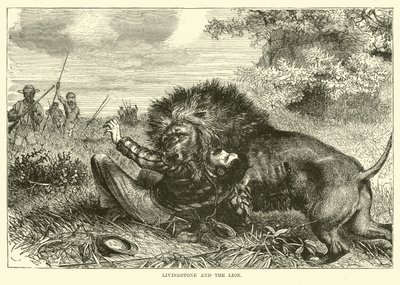 Livingstone et le lion - English School