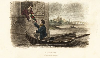 Marin londonien sauvant un perroquet parlant appartenant au roi Henri VIII d