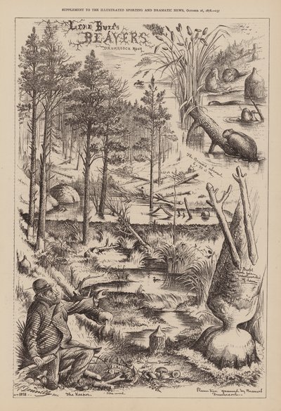 Castors de Lord Bure, Drumreoch Moor (gravure) - English School