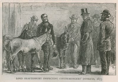 Lord Shaftesbury inspectant les ânes des costermongers - English School