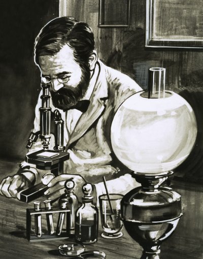 Louis Pasteur - English School