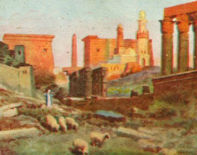 Louqsor, ruines du temple - English School
