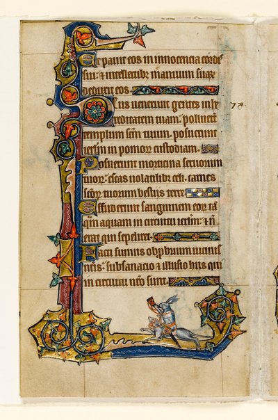 Un lapin chevauchant un chien, chasse, décoration marginale du Psautier de Macclesfield, Usage de Sarum, East Anglia, vers 1330 - English School