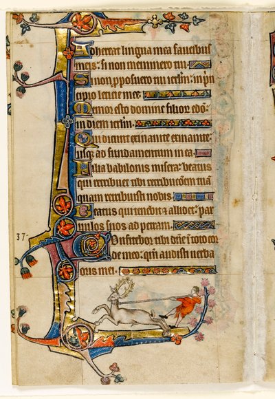Un cerf lassé par un homme, décoration marginale du Psautier de Macclesfield, Usage de Sarum, East Anglia, vers 1330 - English School