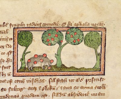 Un hérisson cueillant des pommes, détail d