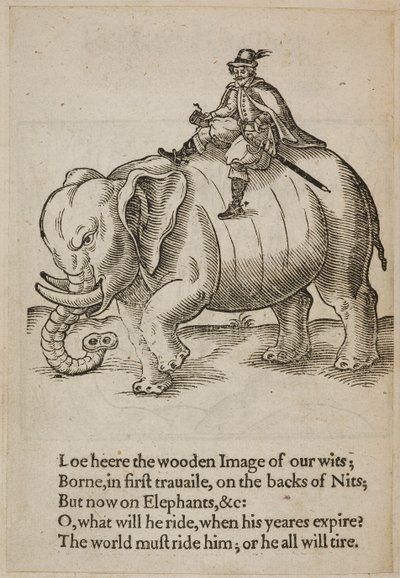 Homme chevauchant un éléphant, illustration de 