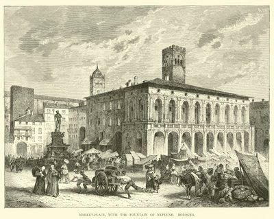 Place du marché, avec la fontaine de Neptune, Bologne - English School