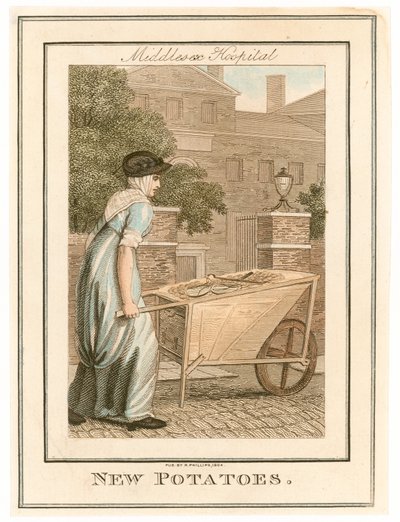 Hôpital de Middlesex. Nouvelles pommes de terre - English School