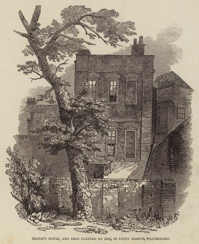 Maison de Milton, et arbre planté par lui, à Petty France, Westminster (gravure) - English School