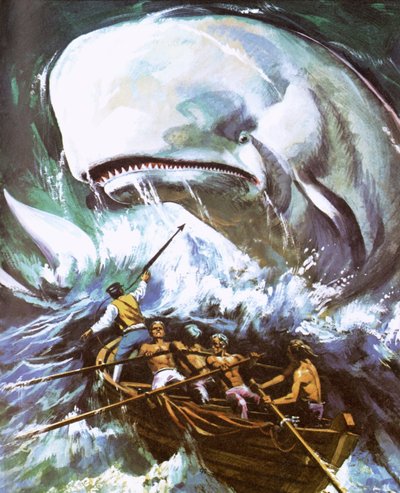 Moby Dick - English School