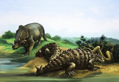 Monoclonius et Scolosaurus - English School