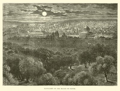 Clair de lune sur le Mont des Oliviers - English School